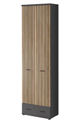 Produktbild von DELAN 3 Flurwand – anthrazit / Eiche artisan