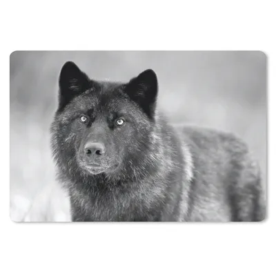 Produktbild von MuchoWow® Mauspad Mousepad Wolf - Nahaufnahme - Schwarz - Weiß 27x18 cm - Mousepads - Maus Mat - Pad - Mausunterlage - Büroartikel - Desk Matten