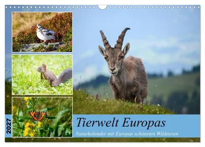 Produktbild von Tierwelt Europas - Naturkalender mit Europas schönsten Wildtieren (Wandkalender 2027 DIN A3 quer), CALVENDO Monatskalender