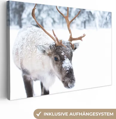 Produktbild von MuchoWow® - Leinwandbilder - Hirsche - Rentiere - Schnee, Wandbild, Wanddeko Bilder Wohnzimmer, 90x60cm