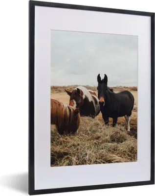 Produktbild von MuchoWow® Gerahmtes Poster Tiere - Pferd 30x40 cm - Poster mit Schwarzem Bilderrahmen Wandposter Rahmen Foto Bilder - Wandposter Schlafzimmer