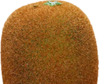 Obrázek produktu pro Umělé ovoce Simulace Model Pěna Falešné ovoce Mateřská škola Výukové pomůcky Dekorativní rekvizity Kiwi Fruit