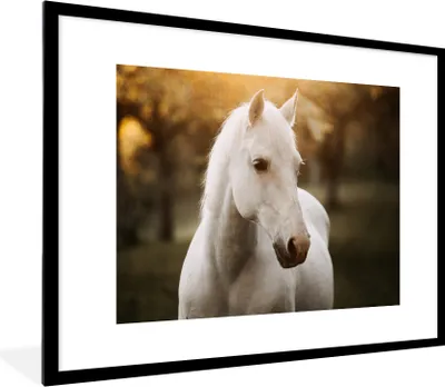 Produktbild von MuchoWow® Gerahmtes Poster Pferd - Sonne - Herbst - Tiere - Natur 80x60 cm - Poster mit Schwarzem Bilderrahmen Wandposter Rahmen Foto Bilder - Schlafzimmer-Dekorationen - Fotoposter
