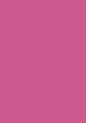 Immagine prodotto di BRUNNEN 105122526 Carta multifunzione Carta universale A4 fucsia