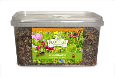 Artikelbild 1 von 'Blumenwiese (5 l im Eimer)' aus der Kategorie Blumenwiese