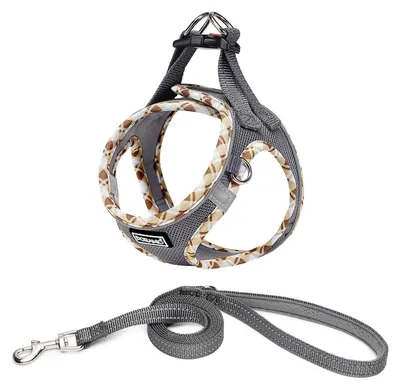 Image de Harnais pour chien avec laisse, modèle à enfiler, réfléchissant, respirant, anti-traction, harnais de sécurité pour petits chiens et chats, couleur gris