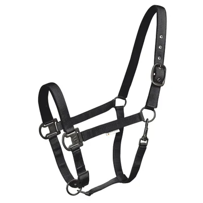 Image de Waldhausen Licol Gloomy noir poney
