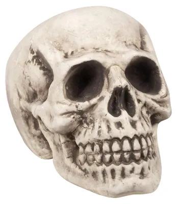 Zdjęcie produktu dla Dekoracja czaszka na Halloween beżowo-szara 23x22x31 cm - Rozmiar uniwersalny