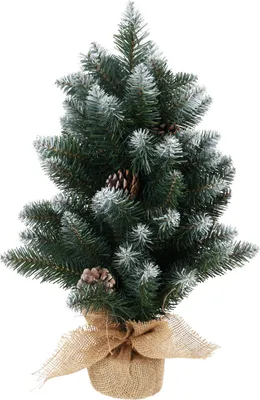 A small, artificial Christmas tree decorated with pinecones and a dusting of artificial snow, set against a white background.