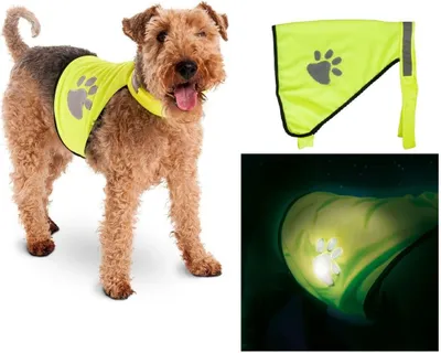 Produktbild von Karlie Night Walk Hunde Sicherheitsweste, Größe:S 23.5 cm