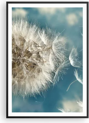 Produktbild von Gerahmtes Poster - Schwarzer Rahmen - Baby Sommer Pflanze - 70x100 cm - Wand Bild - Wanddeko - Wandbilder - Kunstposter - Wandposter - Bilderrahmen - Bilder - Kunstdruck - Wandbild - P2BPA70x100-3567