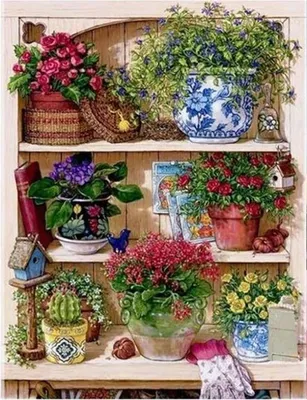 Obrázek produktu pro Vikpap W3802 - malování podle čísel, plátno 30 × 40 cm - Regál plný vůně a barev