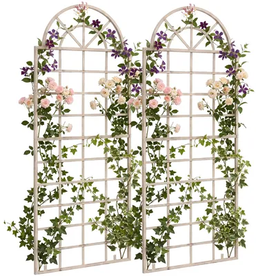 Produktbild von CLP Rankgitter Viva 2er Set aus Eisen mit Rundbogen und Wandhalterung für den Garten | Farbe antik-creme, KI-generiertes Bild