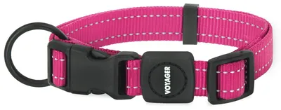 Image de Meilleurs accessoires pour animaux : Collier réfléchissant pour chien, longueur réglable, robuste