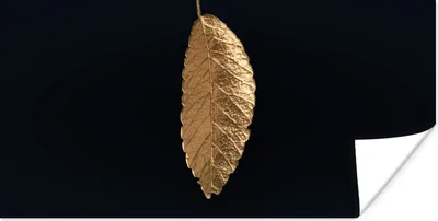 Produktbild von MuchoWow® Poster Blätter - Schwarz - Gold - Luxus - Natur 40x20 cm - Poster für die Wand - Poster Schlafzimmer