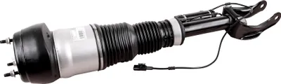 Image de Jambe de suspension pneumatique MERCEDES-BENZ W166