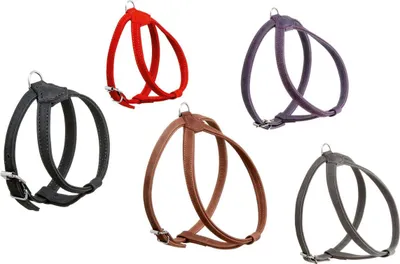 Produktbild von Karlie Buffalo Geschirr in div. Größen und Farben, Farbe:schwarz, Größe:30-37cm x 12mm