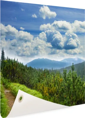Produktbild von Gartenposter - 50x50 cm - Eine Straße durch den Wald  - Modernes Wandbilder - Natur