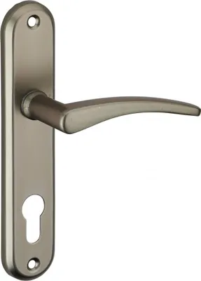 Image de Ensemble de poignées pour porte d'entrée Vesta trou de cylindre, carré 7mm, entr'axes 165mm, noir - THIRARD