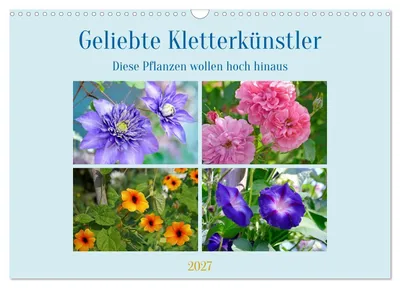 Produktbild von Geliebte Kletterkünstler (Wandkalender 2027 DIN A3 quer), CALVENDO Monatskalender