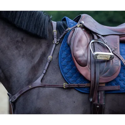 Produktbild von Dyon D-Collection Vorderzeug anatomisch, Größe:Warmblut, Farbe:braun