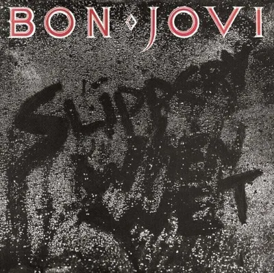 Produktbild von Slippery When Wet (Deluxe Edition 2CD)