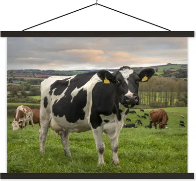 Produktbild von MuchoWow® Textilposter Kuh - Berg - Gras - Tiere 40x30 cm mit schwarzem Rahmen - Dekorationen