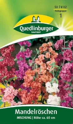 Produktbild von Quedlinburger Saatgut - Mandelröschen Mischung - Samen - 507402