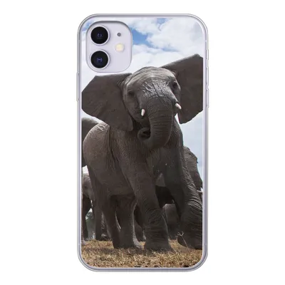 Produktbild von MuchoWow® Handyhülle Schutzhülle Hülle für iPhone 11 Elefant - Tiere - Natur - Flachland Silikon Softcase Handy Hülle - Handytasche