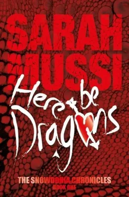 Produktbild von Here be Dragons