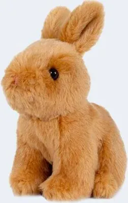 A plush toy rabbit sitting on a white background.