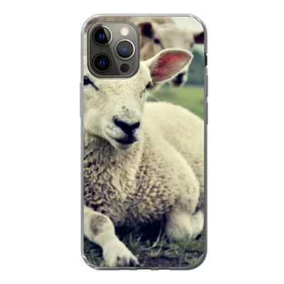 Produktbild von MuchoWow® Handyhülle Schutzhülle Hülle für iPhone 12 Pro Schaf - Lamm - Gras Silikon Softcase Handy Hülle - Abdeckung