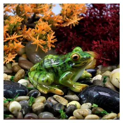 Produktbild von Miniatur-Harz-Froschstatue für Garten und Feengarten