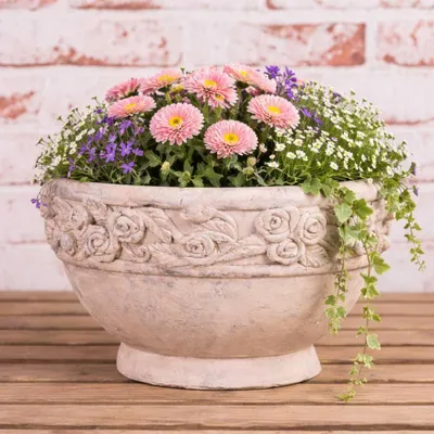 Produktbild von AltoBelli Blumentopf ROSARIO Schale Beige mit Rosen Rund Zement 27x16 cm