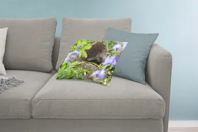 Produktbild von MuchoWow® Zierkissen Sofakissen Wohnzimmer Dekokissen 60x40 cm Igel hinter Blumen - Kopfkissen - Polster mit Foto
