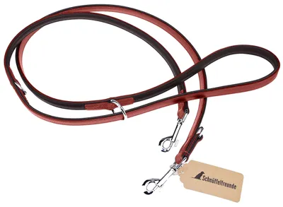 Leder-Hunderiem 230 cm, verstellbare Trainingsleine, Rot