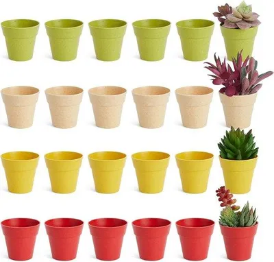 Produktbild von Mini Kunststof Pflanzgefäße - 24 Stück Stapelbare Blumenpotten für Innen und Außen - 6 cm Durchmesser