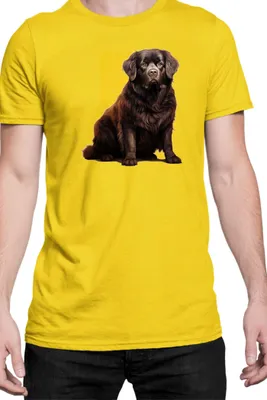 Immagine prodotto di Maglietta da uomo Dogs Breeds Newfoundland Dog Breed 005, Man S , Jaune