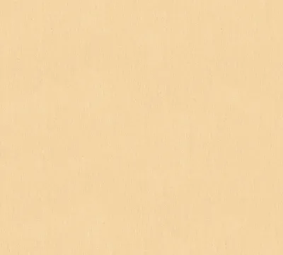 Produktbild von A.S. Création Vliestapete Château 5 Tapete beige metallic 10,05 m x 0,53 m 345036 34503-6