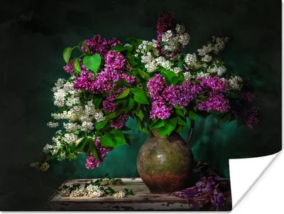 Produktbild von MuchoWow® Poster Vintage - Blumen - Stilleben 160x120 cm - Foto Plakat