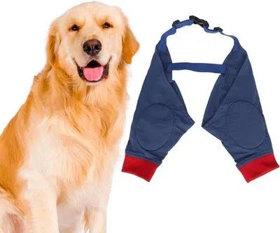 Productafbeelding van XL hondenboomdoek - Zacht gevoerd - Met elastische band - Geschikt voor grote honden