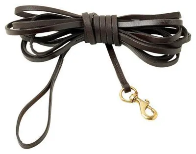 Produktbild von 10 m brauner Leder Schweißriemen mit Karabiner-Wirbel und Halteschlaufe