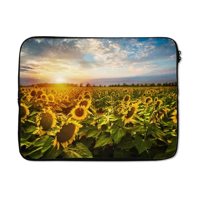 Produktbild von MuchoWow® Laptop Hülle 17 Zoll Laptoptasche Blumen - Sonnenblume - Himmel - Zipper - Schutzabdeckung