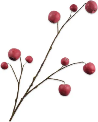 Produktbild von Silk-ka Kunstblume - Seidenblume Apfelzweig Rot-Rosa 123 cm