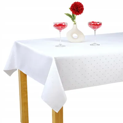 Obrázok produktu pre Biely obrus na catering, 160 x 260 cm