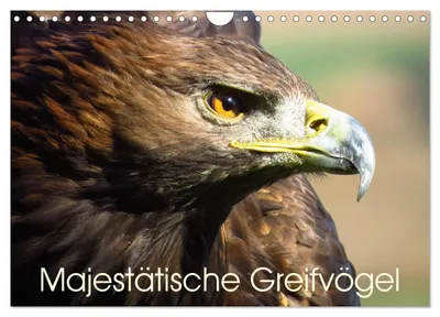Produktbild von Majestätische Greifvögel (Wandkalender 2027 DIN A4 quer), CALVENDO Monatskalender