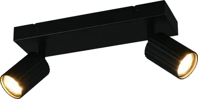 Obrázok produktu pre Stropné svietidlo, kovové, čierne, 2 svetlá, otočné, D30cm