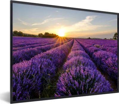 Produktbild von MuchoWow® Gerahmtes Poster Lavendel - Blumen - Sonnenuntergang - Lila 80x60 cm - Poster mit Schwarzem Bilderrahmen Wandposter Rahmen Foto Bilder - Schwarzem - Mit Gestell