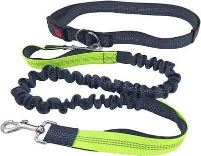 Immagine prodotto di Cintura da corsa per cani, regolabile, verde, riflettente