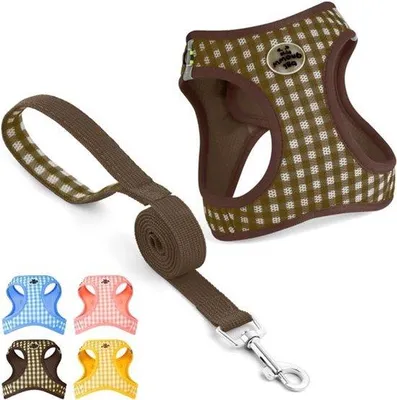 Image de Ensemble collier et laisse pour chien - Réglable, réfléchissant et anti-traction, couleur marron, taille petite